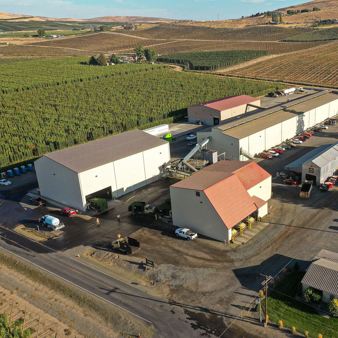 The Harvest Spectrum of El Dorado®: Understanding Early, Mid, and Late Harvest Profiles