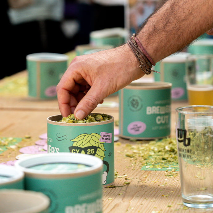 Hop Selection Comes to Life at Maresme Brewing