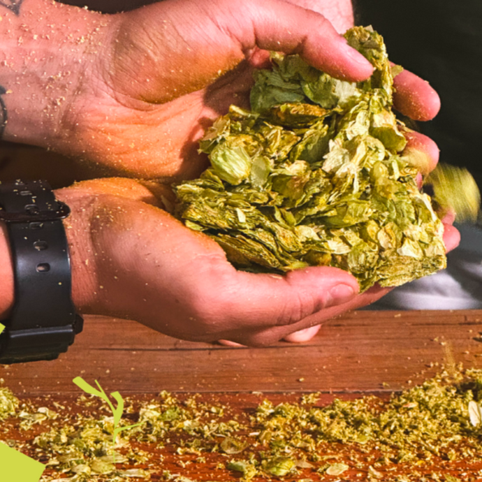 Hop 360°: What We Shared, Learned, and Look Forward to in 2025