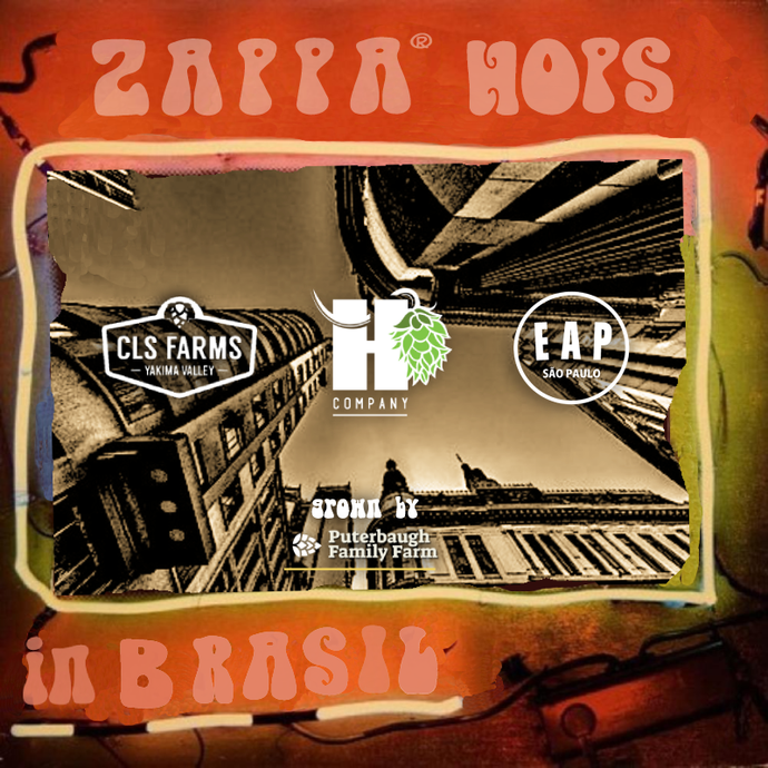 Zappa™ Hops in Brasil - Evento com mais de 20 Cervejas Produzidas com a Variedade
